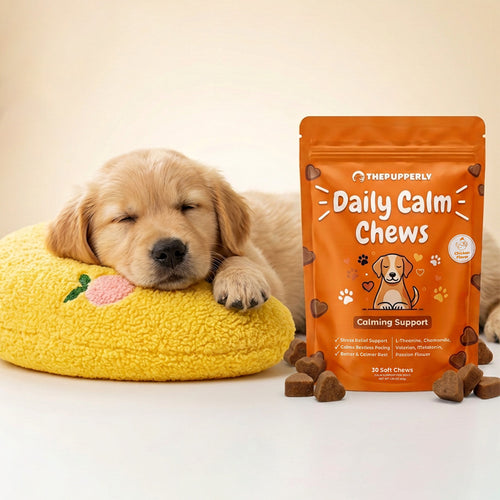ThePupperly™ Pillow + Calm Chews [Free Today]