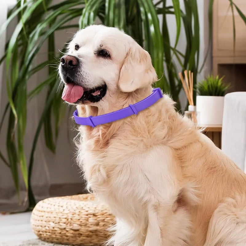 ThePupperly™ Calming Collar