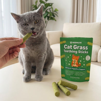 Cat Grass Teething Sticks [Free Today]