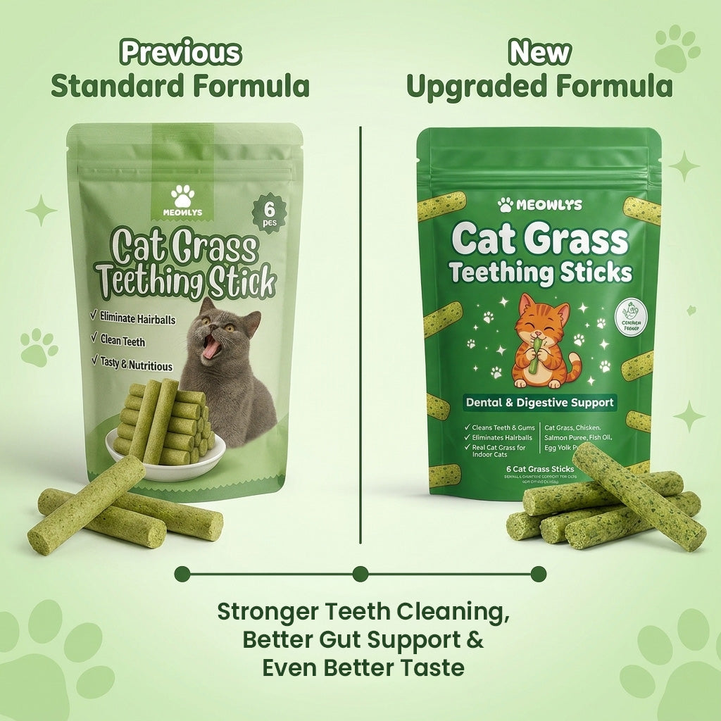 Cat Grass Teething Sticks [Free Today]