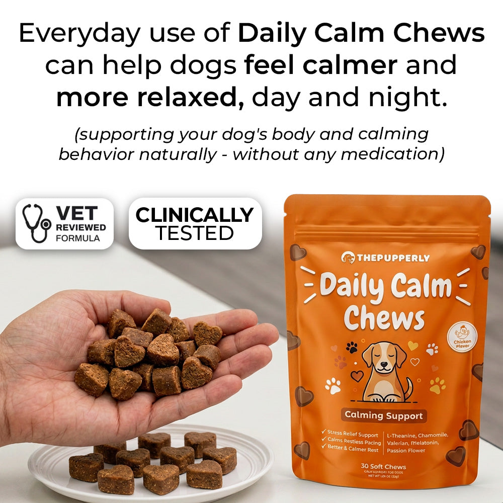ThePupperly™ Daily Calm Chews [Free Today]